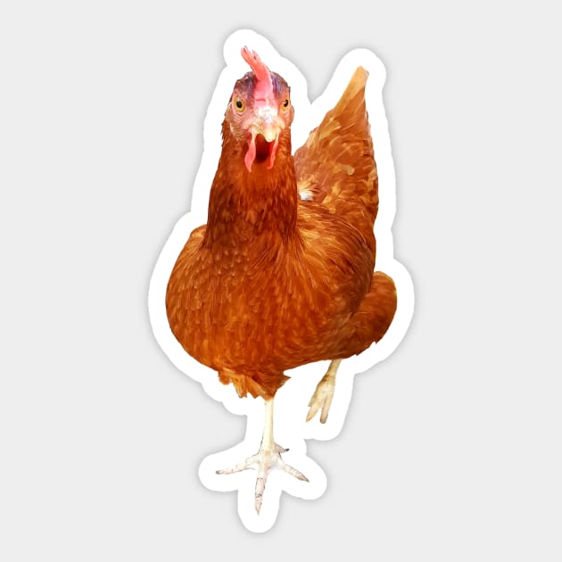 Funny free hen ! Happy chicken :-) Sticker by GribouilleTherapie